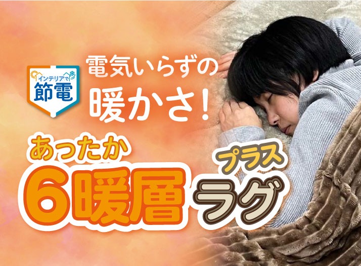 電気代がかからない！ぽかぽか極暖「6暖層ラグプラス」特集