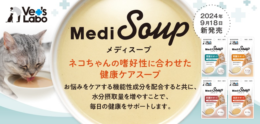 MediSoup