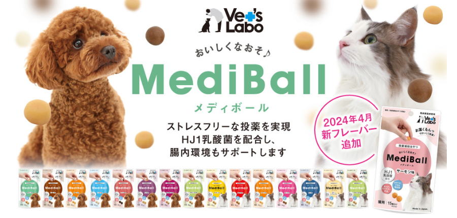 mediball2024